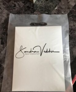 100 Natural Frost Merchandise Bag, 12"x15" with Die Cut Handle, No Gusset, 2.0 Mil. Custom Printed Frosty 12"x15" 13 71JBADgLmhL