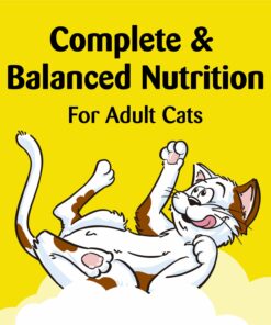 TEMPTATIONS Classic Crunchy and Soft Cat Treats Mega Pack, (5) 6.3 oz. Pouches 22 71JDYd3LdmL 2