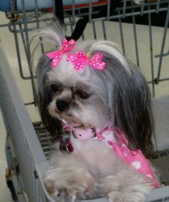 PET4FUN PN935 29" Portable Pet Puppy Dog Cat Animal Playpen Yard Crates Kennel w/Premium 600D Oxford Cloth, Tool-Free Setup, Carry Bag, Removable Security Mesh Cover/Shade, 2 Storage Pockets(Pink) Upgrade Version: 29" x 29" x 17" Medium Pink 60 71JDx0 isL