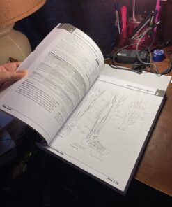 Netter's Anatomy Coloring Book (Netter Basic Science) Paperback 7 71JHlUjDRWL