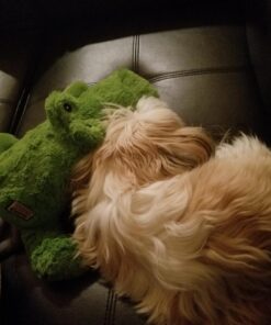 KONG Cozie Ali Alligator XL X-Large Standard Packaging 38 71JIGyRuq L