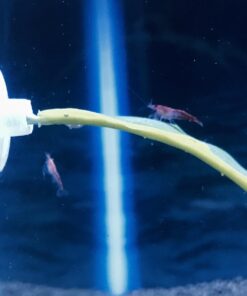 Blue Spotted Betta Plant Leaf Pad for Betta Fish, Tropical Fish Aquariums & Saltwater Fish Aquariums 1 Pack 31 71JINPmwsjL