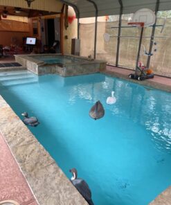 Hayward SPX1070E Basket Replacement for Hayward Automatic Skimmers 4 71JJT1QRBdL