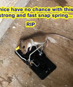 Snap-E 12-001-00-1 6 Pack Mouse Trap, Black 30 71JKAdj39gL