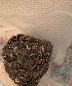 GERBS Unsalted Roasted Jumbo Whole Sunflower Seed In Shell 2 lbs., Top 14 Allergy Free Foods, Healthy Superfood Snack, Non GMO, Dry Roast, No Oils, No Preservatives, Resealable Bag, Gluten Free, Vegan, Keto, Kosher Jumbo Unsalted 2 Pound (Pack of 1) 19 71JOEJ 0ZbL