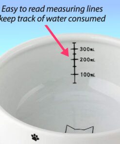 Necoichi Raised Cat Water Bowl, Elevated, with Measurement Lines, Dishwasher and Microwave Safe (Cat, Regular) 33 71JOm730s9L