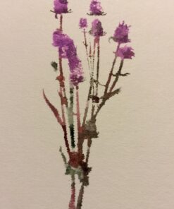 Akashiya CA200/20V Sai Watercolor Brush Pen - 20 Color Set (1, DESIGN 1) 73 71JQhWqVDPL