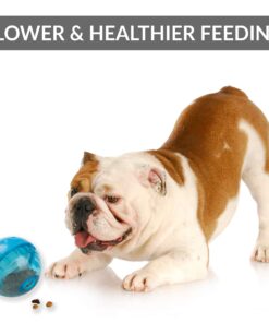 Our Pets Smarter Toys IQ Treat Ball - Colors Mary Vary - 4" (2130010792) IQ TREAT BALL 4" 30 71JRFivfjhL