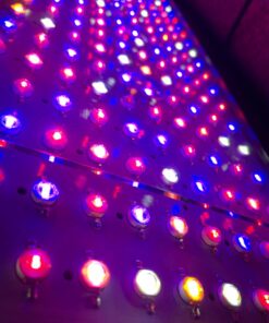 BESTVA 2024 Newest Upgrade 2000W Led Grow Light with High Yield Diodes Full Spectrum LED Grow Lights for Indoor Plants Greenhouse Veg Bloom Light Hydroponic Grow Lamp 39 71JRihaf3XL