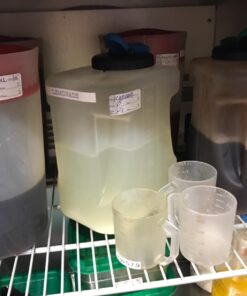 DayMark Safety Systems-IT110117 Removable Item/Date/Time Use-by Shelf-Life Label, 1" x 2" (Roll of 1000) 11 71JSnp57cmL