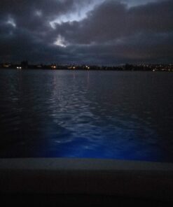 Jiawill 316L Stainless Steel Underwater 1/2" NPT 9 to 30V 27w Boat Drain Plug Light with Internal Driver and Overheat Protection 3 Years Warranty (Blue) Blue 40 71JVH81z7L