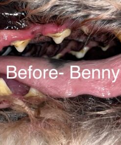 Vet’s Best Enzymatic Dog Toothpaste | Teeth Cleaning and Fresh Breath Dental Care Gel | Vet Formulated | 3.5 Ounces 1 Count 32 71JVMjnHRHL