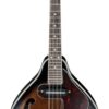 Ibanez, 8-String Mandolin, Right, Dark Violin Sunburst (M510EDVS) 17 71JVxKo 9PL