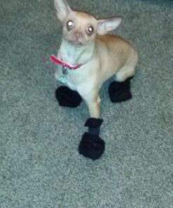 Fashion Pet Lookin Good Arctic Fleece Boots for Dogs, Small, Black 5 71JWwxJdSAL