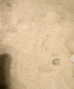 Alternative view of Bissell Commercial-31B6 Carpet Cleaner, 128oz, Bottle, 9 to 9.8 pH (1 Bottle 128 oz.),Green Pack of 1