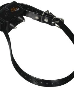 SportDOG No Bark Collar SBC-R 13 71JYJ7KDu1L