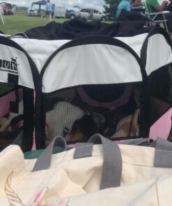 PET4FUN PN935 29" Portable Pet Puppy Dog Cat Animal Playpen Yard Crates Kennel w/Premium 600D Oxford Cloth, Tool-Free Setup, Carry Bag, Removable Security Mesh Cover/Shade, 2 Storage Pockets(Pink) Upgrade Version: 29" x 29" x 17" Medium Pink 52 71JYQT25WtL