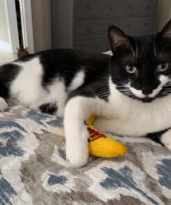 Yeowww! Yellow Banana Catnip Toy (2 Pack) 23 71Jbu8oodxL