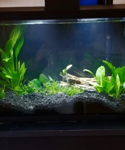 CaribSea Eco-Complete 20-Pound Planted Aquarium, Black 20 POUNDS 37 71JcIIKJfYL