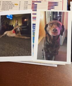 Canon PIXMA MG3620 Wireless All-In-One Color Inkjet Printer with Mobile and Tablet Printing, Red, 17.7 (W) X 12.0 (D) X 6.0 (H) 21 71JdcCMWCrL