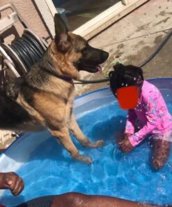 Intex Snorkel Buddies Snapset Pool - 5'X10" (Style May Vary) 26 71JeV9WnUIL