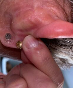 Most Secure Locking Earring Back Lifter Platinum by Chrysmela Automatically Fit Lock Lift earrings hypoallergenic patented in the US UK France Italy and Japan Platinum with Disc 30 71JfFDugSEL