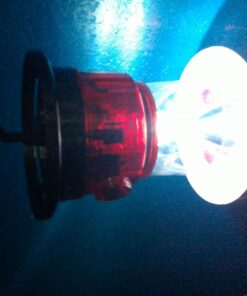 Life Gear Portable Outdoor LED Camping Lantern | Bright Lantern for Camping, Backpacking, Emergency Signaling 14 71Jg9mOBbLL