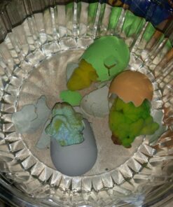 SCS Direct Animal Planet Super Grow Dinosaur Eggs 3 Pack - Toys Hatch and Grow to 3X Size in Water - T-Rex, Triceratops, & Ankylosaurus - Includes Dino Educational Fact Cards 27 71JgLPfDOML