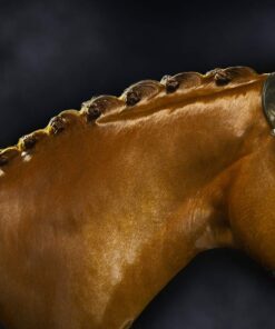 Alternative view of Exhibitor's Quic Braid for Total Mane & Tail Control 16 oz Spray