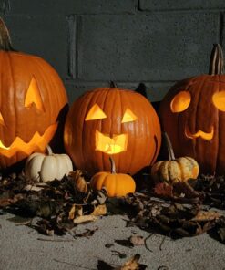 SHYMERY Flameless Votive Candles,50 Pack Flickering Electric Fake Battery Operated LED Candles,200+Hour Long Lasting LED Tea Lights for Wedding,Halloween,Christmas,Party and Holiday Decoration Warm White-50pack 30 71Jjdtw68IL