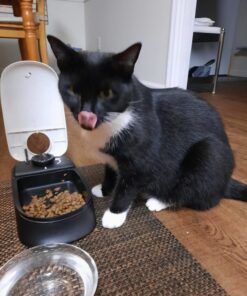 Hill's Pet Nutrition Science Diet Dry Cat Food, Adult, Chicken Recipe, 4 lb. Bag 43 71JkFSwqahL