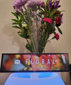 P&J Fragrance Oil Floral Set | Violet, Jasmine, Rose, Lilac, Freesia, and Gardenia Candle Scents for Candle Making, Freshie Scents, Soap Making Supplies, Diffuser Oil Scents 0.34 Fl Oz (Pack of 6) 31 71Jo VGPGdL