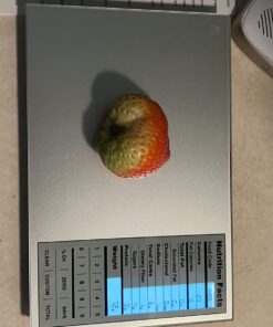 Greater Goods Nutrition Scale, Food Grade Glass, Calorie Counting Scale, Meal Prep Scale, and Weight Loss Scale, Designed in St. Louis, Silver 39 71Joo2o47VL