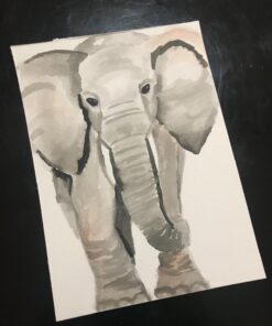 Pentel Arts Aquash Water Brush Assorted Tips, 4 Pack Carded (FRHBP4M), White, Small 4 Pack Assorted 43 71Jr 14ttpL