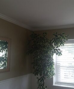 Kreg KMA2800 Crown-Pro Crown Molding Tool 49 71JvH3yfpxL 1