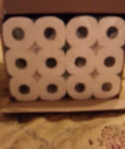 ANGEL SOFT Toilet Paper Bath Tissue, 48 Double Rolls, 260+ 2-Ply Sheets Per Roll 45 71Jvpvpny9L