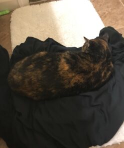 FELINE GREENIES Natural Dental Care Cat Treats Tempting Tuna Flavor, 2.1 oz. Pouch 2.1 Ounce (Pack of 1) 26 71JwppAYxKL