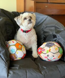 Fisher-Price Laugh & Learn Baby Musical Learning Toy, Singin’ Soccer Ball Plush With Songs Sounds & Phrases For Ages 6+ Months Retail Packaging 24 71Jzcyf4dHL