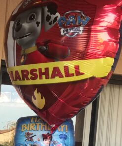 Paw Patrol Girls Pup Skye and Everest Foil Balloons Birthday Party Supplies (5 Piece Bouquet) 17 71K 65bIifL