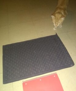 Petlinks Purr-fect Paws Multipurpose Cat Litter Mat - Gray, Medium,(Pack of 1) 33 71K BVljkpL
