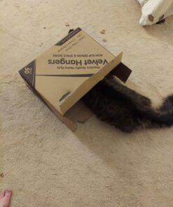 Utopia Home Premium Velvet Hangers 50 Pack - Non-Slip Clothes Hangers - Black Hangers - Suit Hangers with 360 Degree Rotatable Hook - Heavy Duty Coat Hangers 34 71K ni8KECL