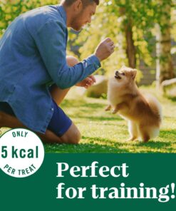 NUTRO Crunchy Dog Treats with Real Peanut Butter, 10 oz. Bag 10 Ounce (Pack of 1) 19 71K0CtfqWJL