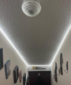 Onforu White LED Strip Lights, 32.8FT 6000K Super Bright Dimmable Tape Light Kit, 600 LEDs Daylight Christmas Rope Light, 12V Flexible Strip Lighting for Mirror, Under Cabinet, Home, Bedroom Daylight White 38 71K5 kyCaBL