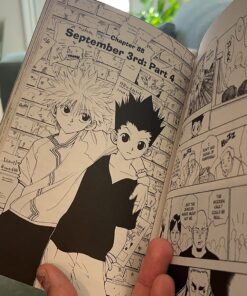 Alternative view of Hunter X Hunter, Vol. 10