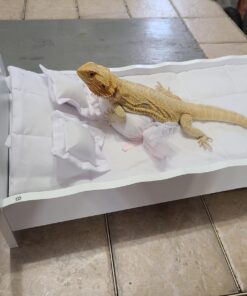 Badger Basket Toy Doll Bed with White Bedding and Personalization Kit for 20 inch Dolls - White Rose 43 71K8OfvIMyL