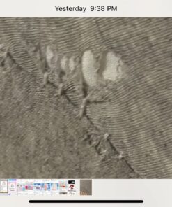 Pharmedoc Pregnancy Pillows, U-Shape Full Body Pillow – Jersey Cover Grey – Pregnancy Pillows for Sleeping – Body Pillows for Adults, Maternity Pillow and Pregnancy Must Haves U Grey 31 71K8Xfbi9vL