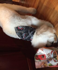 Rachael Ray Nutrish Dish Premium Natural Dry Dog Food, Chicken & Brown Rice Recipe with Veggies & Fruit, 3.75 Pounds 3.75 Pound (Pack of 1) 35 71K8vTqQceL