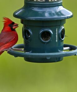 Squirrel Buster Plus Squirrel-proof Bird Feeder w/Cardinal Ring and 6 Feeding Ports, 5.1-pound Seed Capacity, Adjustable, Pole-mountable (POLE ADAPTOR SOLD SEPARATELY), Green 37 71KAhBdqTRL