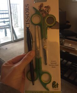 PET MAGASIN Japanese Stainless Steel Grooming Scissors (2) for Facial Hair and Larger for Body Trimming with Round Tip Grooming Sets 31 71KCtU7jtfL