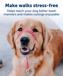 PetSafe® Gentle Leader® Headcollar, No-Pull Dog Collar, Large 60-130 Lb., Black 18 71KDOnI8LrL